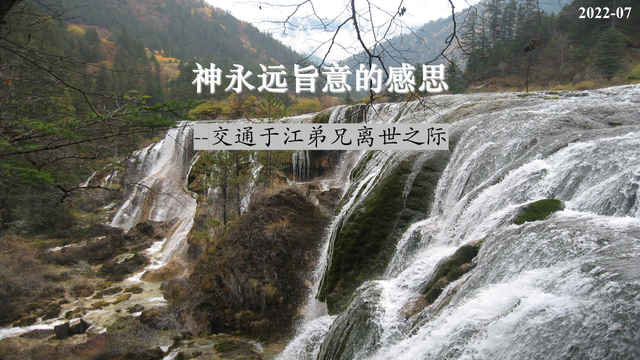 神永远旨意的感思